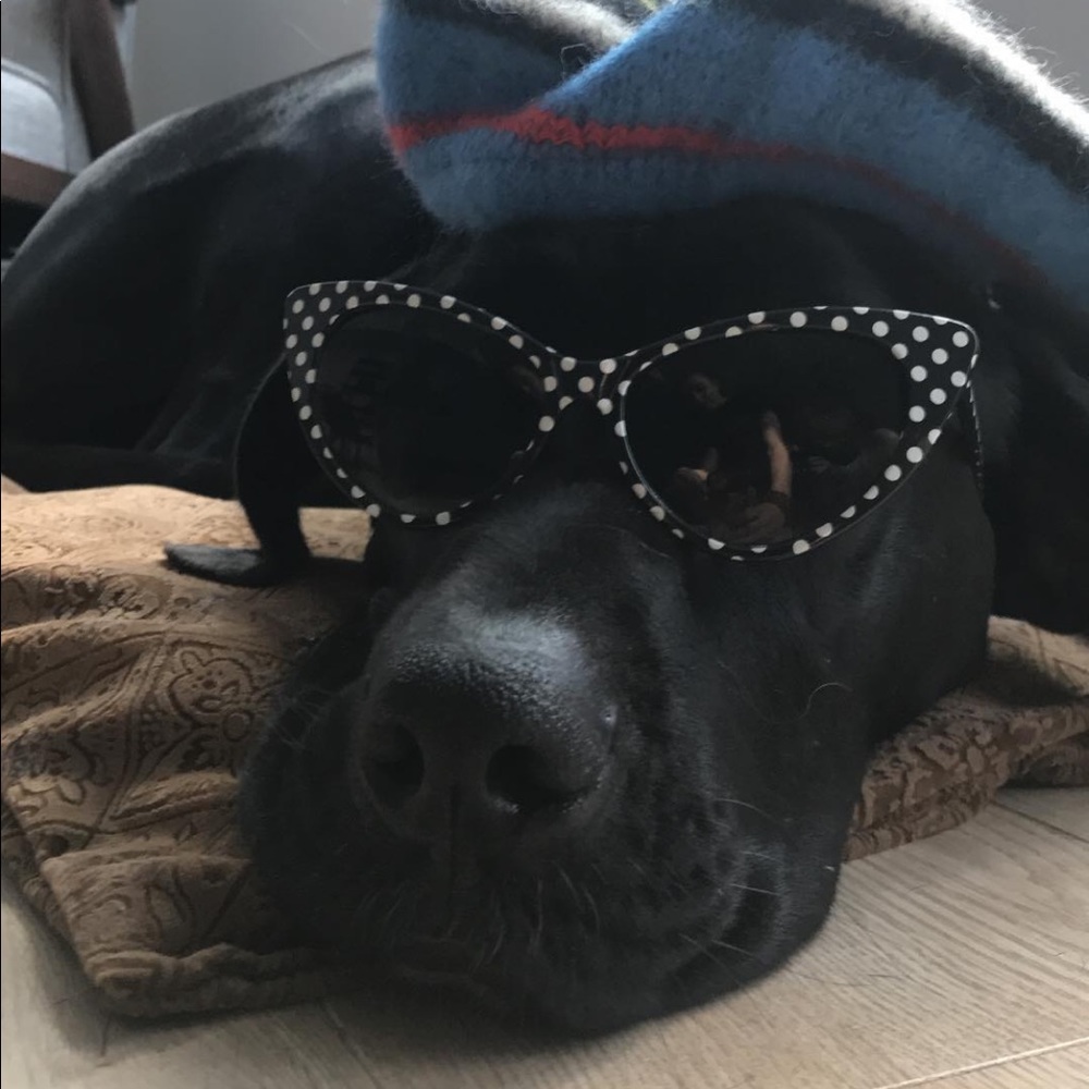 Meet your Posher, Kirby